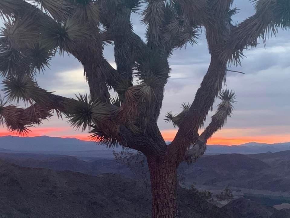 Amazing Views Near Grand Canyon Skywalk Meadview Buitenkant foto